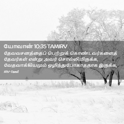 Picture 02 - யோவான் 10:35 TAMIRV - தேவவசனத்தைப் - Bible Verse Picture