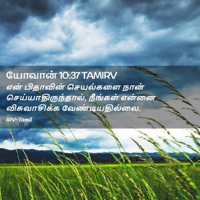 Picture 02 - யோவான் 10:37 TAMIRV - என் பிதாவின் - Bible Verse Picture