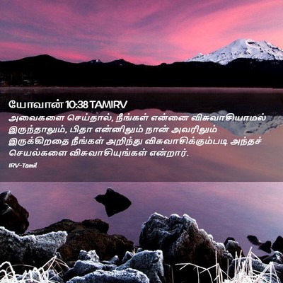 Picture 02 - யோவான் 10:38 TAMIRV - அவைகளை செய்தால், - Bible Verse Picture
