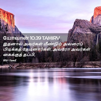 Picture 02 - யோவான் 10:39 TAMIRV - இதனால் அவர்கள் - Bible Verse Picture