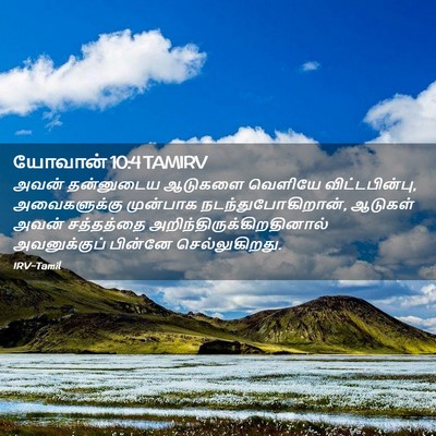 Picture 02 - யோவான் 10:4 TAMIRV - அவன் தன்னுடைய - Bible Verse Picture