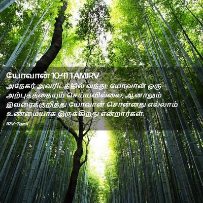 Picture 02 - யோவான் 10:41 TAMIRV - அநேகர் - Bible Verse Picture