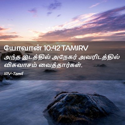 Picture 02 - யோவான் 10:42 TAMIRV - அந்த இடத்தில் - Bible Verse Picture