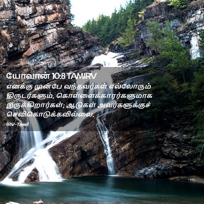 Picture 02 - யோவான் 10:8 TAMIRV - எனக்கு முன்பே - Bible Verse Picture