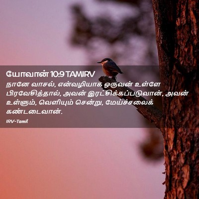 Picture 02 - யோவான் 10:9 TAMIRV - நானே வாசல், - Bible Verse Picture