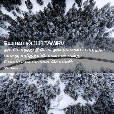 Picture 02 - யோவான் 11:14 TAMIRV - அப்பொழுது இயேசு - Bible Verse Picture