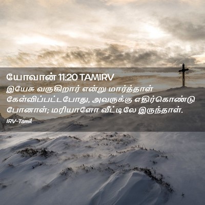 Picture 02 - யோவான் 11:20 TAMIRV - இயேசு வருகிறார் - Bible Verse Picture