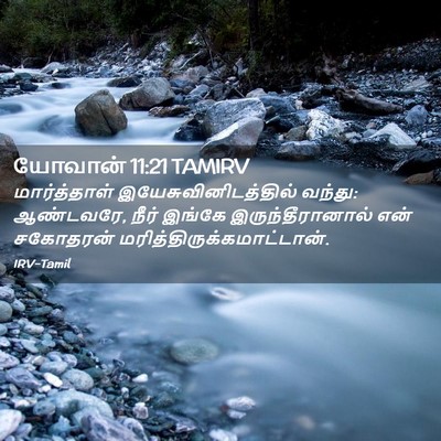 Picture 02 - யோவான் 11:21 TAMIRV - மார்த்தாள் - Bible Verse Picture