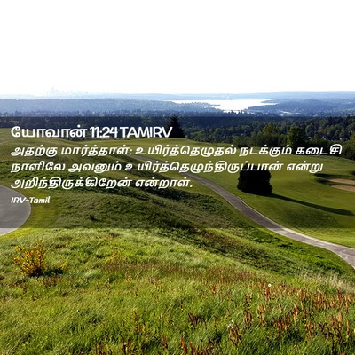 Picture 02 - யோவான் 11:24 TAMIRV - அதற்கு - Bible Verse Picture