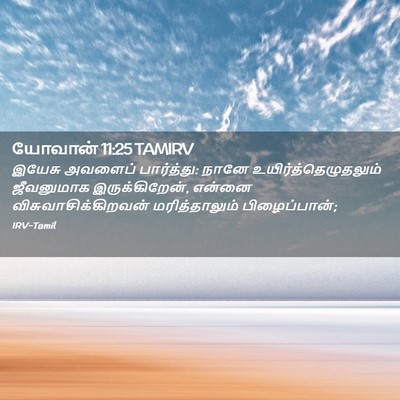 Picture 02 - யோவான் 11:25 TAMIRV - இயேசு அவளைப் - Bible Verse Picture