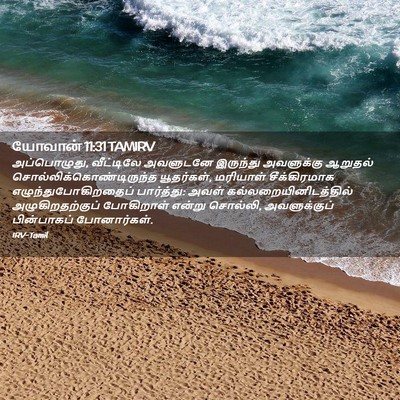 Picture 02 - யோவான் 11:31 TAMIRV - அப்பொழுது, - Bible Verse Picture