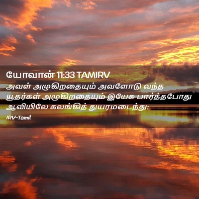 Picture 02 - யோவான் 11:33 TAMIRV - அவள் அழுகிறதையும் - Bible Verse Picture