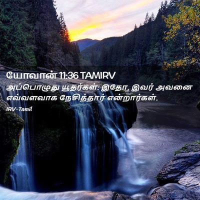 Picture 02 - யோவான் 11:36 TAMIRV - அப்பொழுது - Bible Verse Picture