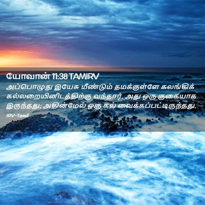 Picture 02 - யோவான் 11:38 TAMIRV - அப்பொழுது இயேசு - Bible Verse Picture