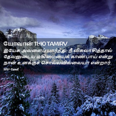 Picture 02 - யோவான் 11:40 TAMIRV - இயேசு அவளைப் - Bible Verse Picture