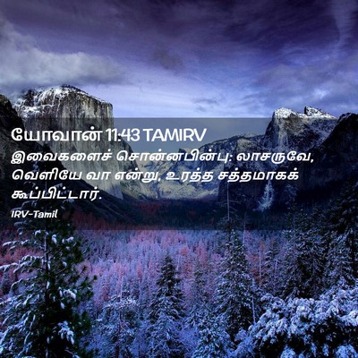 Picture 02 - யோவான் 11:43 TAMIRV - இவைகளைச் - Bible Verse Picture