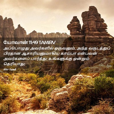 Picture 02 - யோவான் 11:49 TAMIRV - அப்பொழுது - Bible Verse Picture