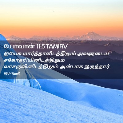 Picture 02 - யோவான் 11:5 TAMIRV - இயேசு - Bible Verse Picture
