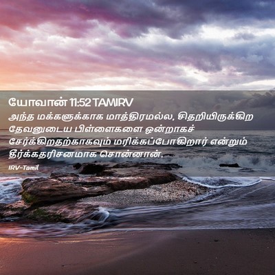 Picture 02 - யோவான் 11:52 TAMIRV - அந்த மக்களுக்காக - Bible Verse Picture
