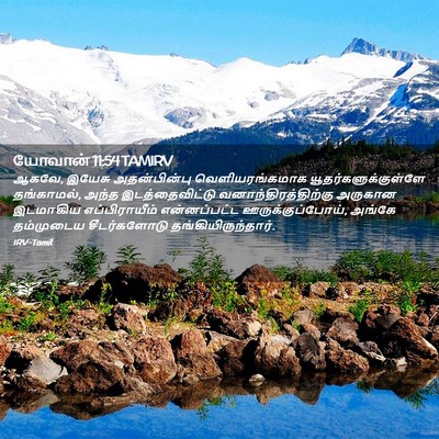Picture 02 - யோவான் 11:54 TAMIRV - ஆகவே, இயேசு - Bible Verse Picture