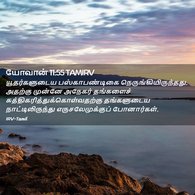 Picture 02 - யோவான் 11:55 TAMIRV - யூதர்களுடைய - Bible Verse Picture
