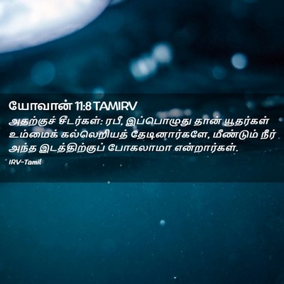 Picture 02 - யோவான் 11:8 TAMIRV - அதற்குச் - Bible Verse Picture