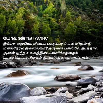 Picture 02 - யோவான் 11:9 TAMIRV - இயேசு மறுமொழியாக: - Bible Verse Picture