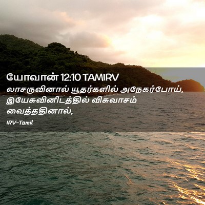 Picture 02 - யோவான் 12:10 TAMIRV - லாசருவினால் - Bible Verse Picture