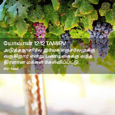 Picture 02 - யோவான் 12:12 TAMIRV - அடுத்தநாளிலே - Bible Verse Picture