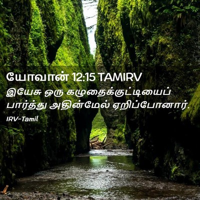 Picture 02 - யோவான் 12:15 TAMIRV - இயேசு ஒரு - Bible Verse Picture