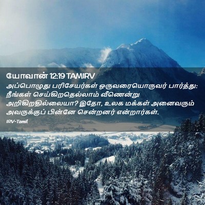 Picture 02 - யோவான் 12:19 TAMIRV - அப்பொழுது - Bible Verse Picture