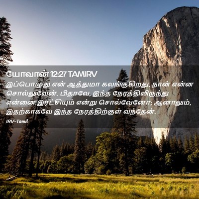Picture 02 - யோவான் 12:27 TAMIRV - இப்பொழுது என் - Bible Verse Picture