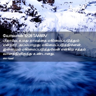 Picture 02 - யோவான் 12:28 TAMIRV - பிதாவே, உமது - Bible Verse Picture