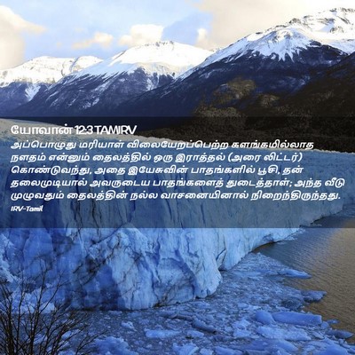 Picture 02 - யோவான் 12:3 TAMIRV - அப்பொழுது மரியாள் - Bible Verse Picture