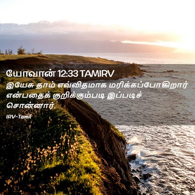 Picture 02 - யோவான் 12:33 TAMIRV - இயேசு தாம் - Bible Verse Picture