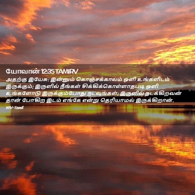 Picture 02 - யோவான் 12:35 TAMIRV - அதற்கு இயேசு: - Bible Verse Picture