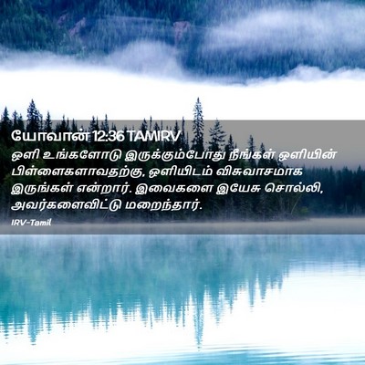 Picture 02 - யோவான் 12:36 TAMIRV - ஒளி உங்களோடு - Bible Verse Picture