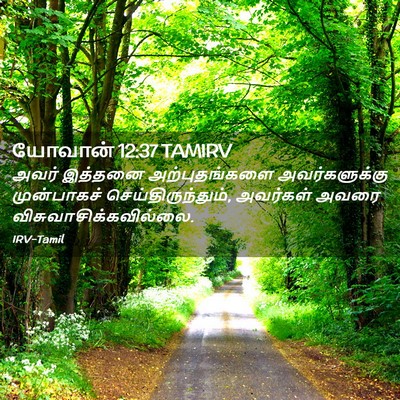 Picture 02 - யோவான் 12:37 TAMIRV - அவர் இத்தனை - Bible Verse Picture