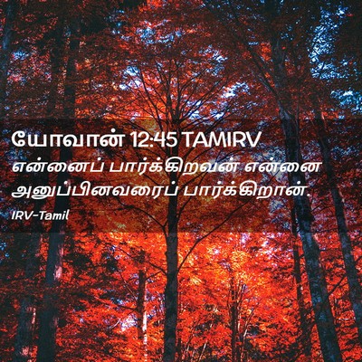 Picture 02 - யோவான் 12:45 TAMIRV - என்னைப் - Bible Verse Picture