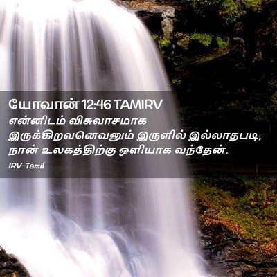 Picture 02 - யோவான் 12:46 TAMIRV - என்னிடம் - Bible Verse Picture