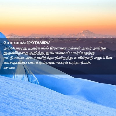 Picture 02 - யோவான் 12:9 TAMIRV - அப்பொழுது - Bible Verse Picture