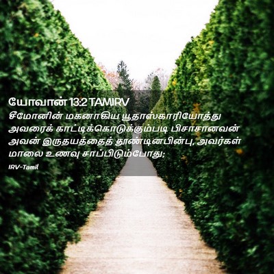 Picture 02 - யோவான் 13:2 TAMIRV - சீமோனின் மகனாகிய - Bible Verse Picture