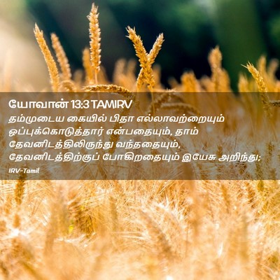 Picture 02 - யோவான் 13:3 TAMIRV - தம்முடைய கையில் - Bible Verse Picture