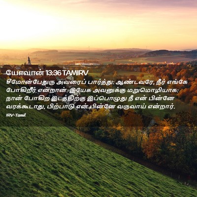 Picture 02 - யோவான் 13:36 TAMIRV - சீமோன்பேதுரு - Bible Verse Picture