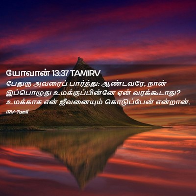 Picture 02 - யோவான் 13:37 TAMIRV - பேதுரு அவரைப் - Bible Verse Picture