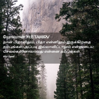 Picture 02 - யோவான் 14:11 TAMIRV - நான் பிதாவிலும், - Bible Verse Picture