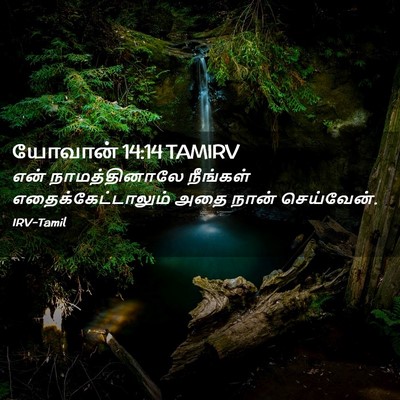 Picture 02 - யோவான் 14:14 TAMIRV - என் நாமத்தினாலே - Bible Verse Picture