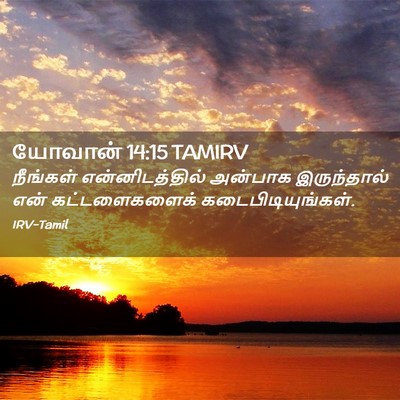 Picture 02 - யோவான் 14:15 TAMIRV - நீங்கள் - Bible Verse Picture