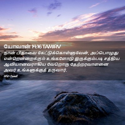Picture 02 - யோவான் 14:16 TAMIRV - நான் பிதாவை - Bible Verse Picture