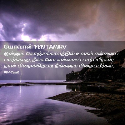 Picture 02 - யோவான் 14:19 TAMIRV - இன்னும் - Bible Verse Picture